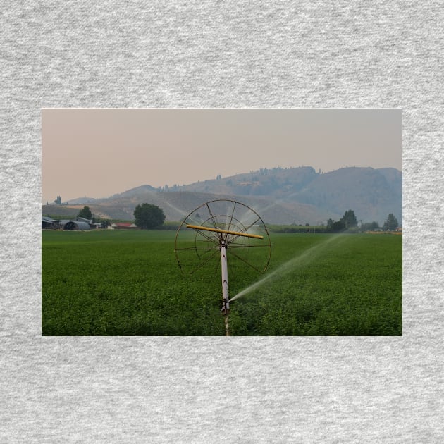 Irrigating Fields on a Summer Evening by Steves-Pics